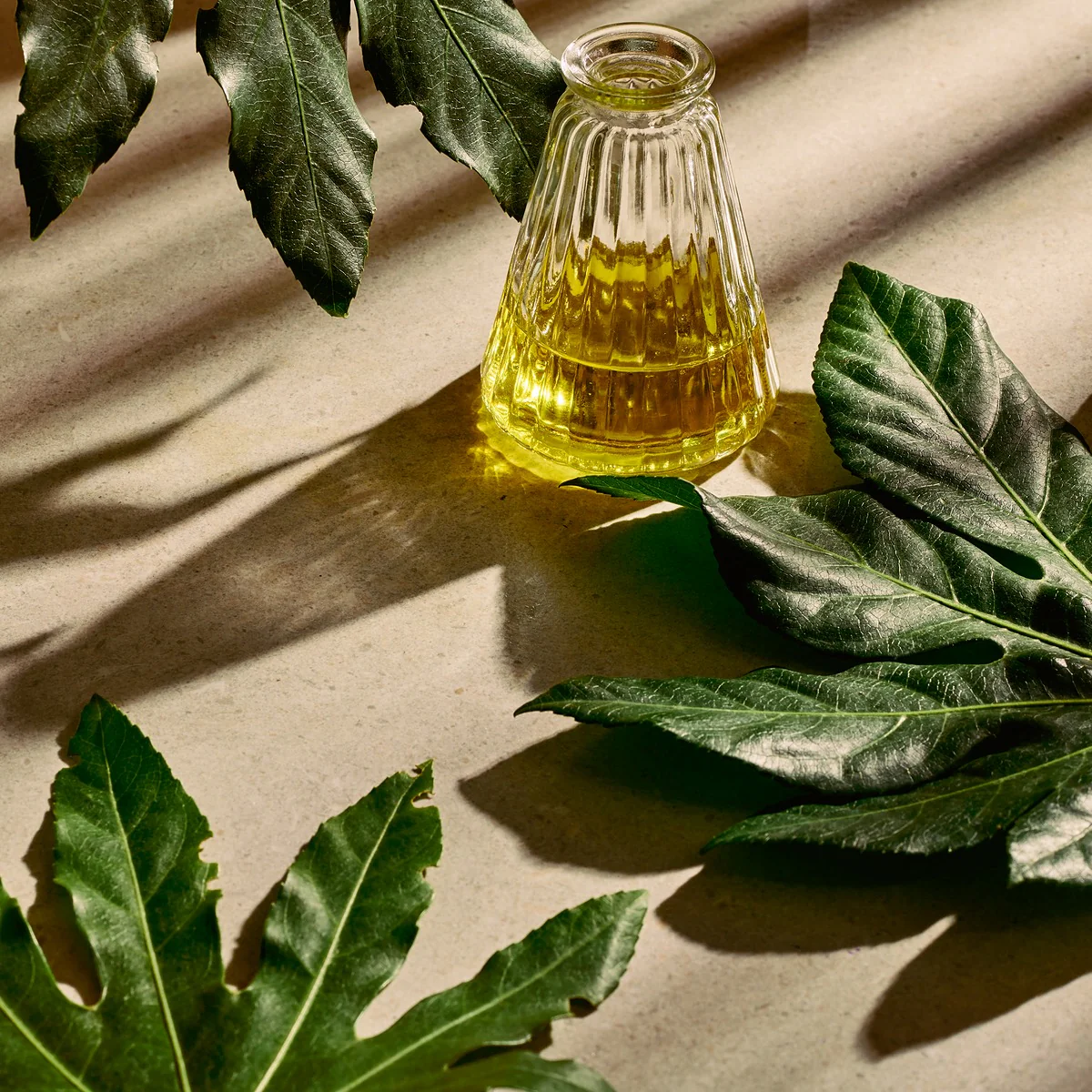 Hemp Body Butter - Image 4