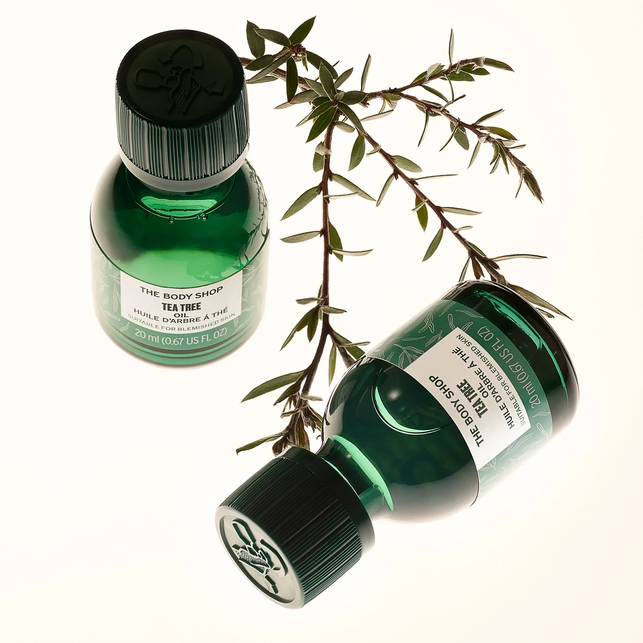 Tea Tree Oil - Image 8